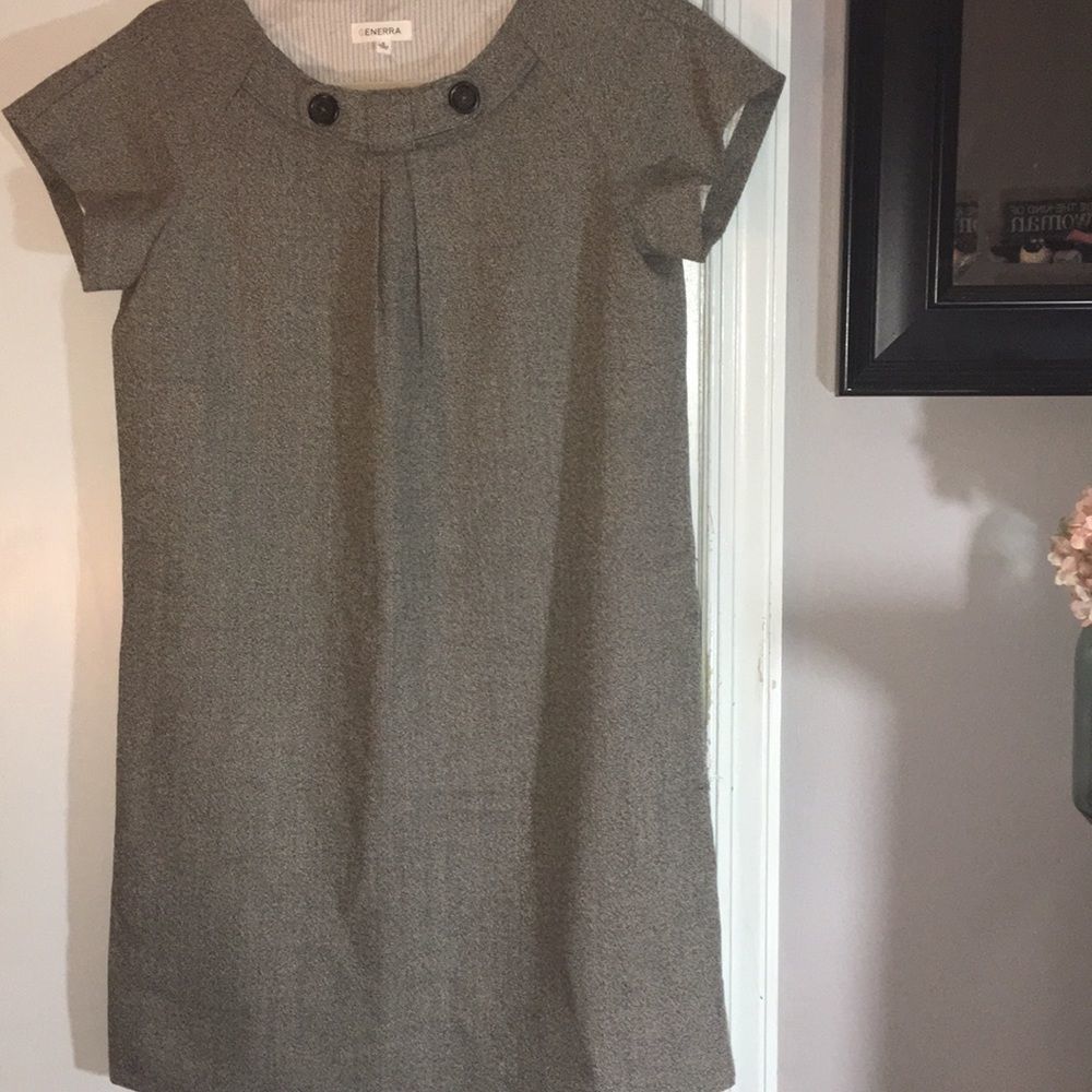Generra Dark Academia Lined “Pewter” Wool Dress Size 6